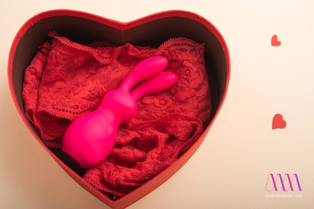 Rabbit vibrator and lingerie in a heart shaped gift box.